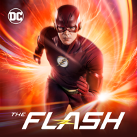 The Flash - The Flash: Seasons 1-5 artwork