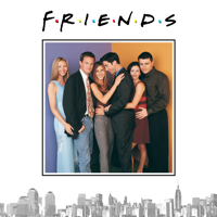 Friends - The One With the Holiday Armadillo artwork