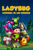 Ladybug: Aventura de los insectos - Ding Shi
