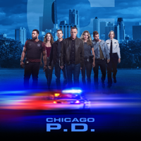 Chicago PD - Chicago PD, Season 7 (subtitled) artwork