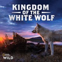 Kingdom of the White Wolf - Kingdom of the White Wolf, Season 1 artwork