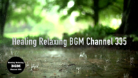 Healing Relaxing BGM Channel 335 - Rain Sounds to Relax Stress and Relaxing Music Box Music artwork