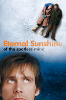 Michel Gondry - Eternal Sunshine of the Spotless Mind artwork