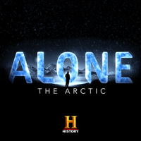 Alone - Icebreaker artwork