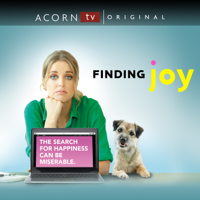 Finding Joy - Finding Joy: Series 1 artwork