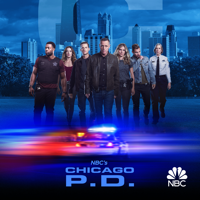 Chicago PD - Brother's Keeper artwork