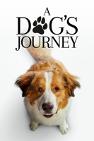 Gail Mancuso - A Dog's Journey artwork
