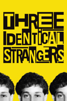 Tim Wardle - Three Identical Strangers artwork
