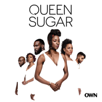 Queen Sugar - Pleasure Is Black artwork