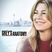 Grey's Anatomy - Grey's Anatomy, Season 16 artwork