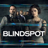 Blindspot - Blindspot: The Complete Series artwork