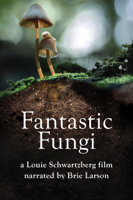 Louie Schwartzberg - Fantastic Fungi artwork