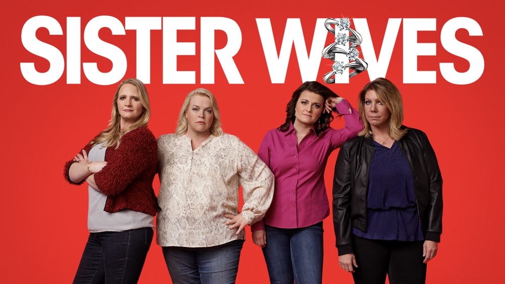 sister wives netflix