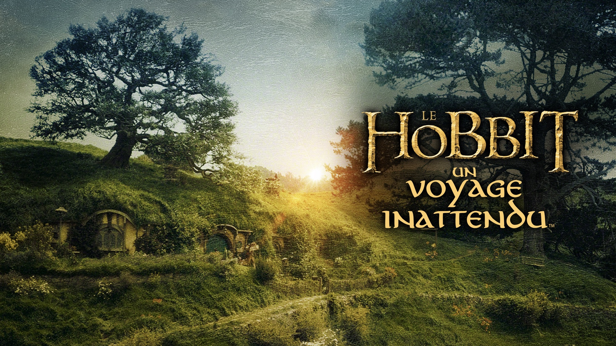 Distribution De Le Hobbit: Un Voyage Inattendu Le Hobbit : un voyage inattendu | Apple TV