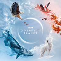 A Perfect Planet - A Perfect Planet artwork
