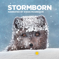 Stormborn - Stormborn, Season 1 artwork