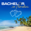 Bachelor in Paradise - 708  artwork