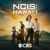 NCIS: Hawai'i - Recruiter  artwork