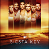 Siesta Key - Siesta Key, Season 4  artwork