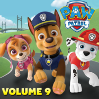 Paw Patrol - Paw Patrol Vol. 9 artwork