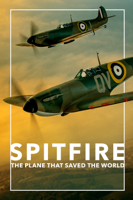 Anthony Palmer & David Fairhead - SPITFIRE: The Plane That Saved the World artwork