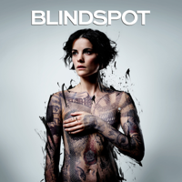 Blindspot - Blindspot, Seasons 1-3 artwork