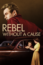 Rebel Without a Cause - Nicholas Ray Cover Art