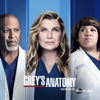 Grey's Anatomy - Legacy  artwork