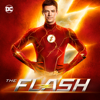 The Flash - The Fire Next Time  artwork