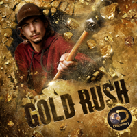 Gold Rush - Stormageddon artwork