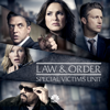 Law & Order: SVU (Special Victims Unit) - Remember Me Too  artwork