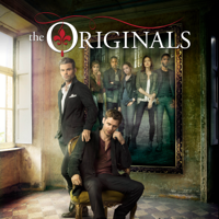 The Originals - The Originals, Seasons 1-5 artwork