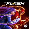 The Flash - The Icicle Cometh artwork