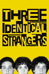 Three Identical Strangers - Tim Wardle Cover Art