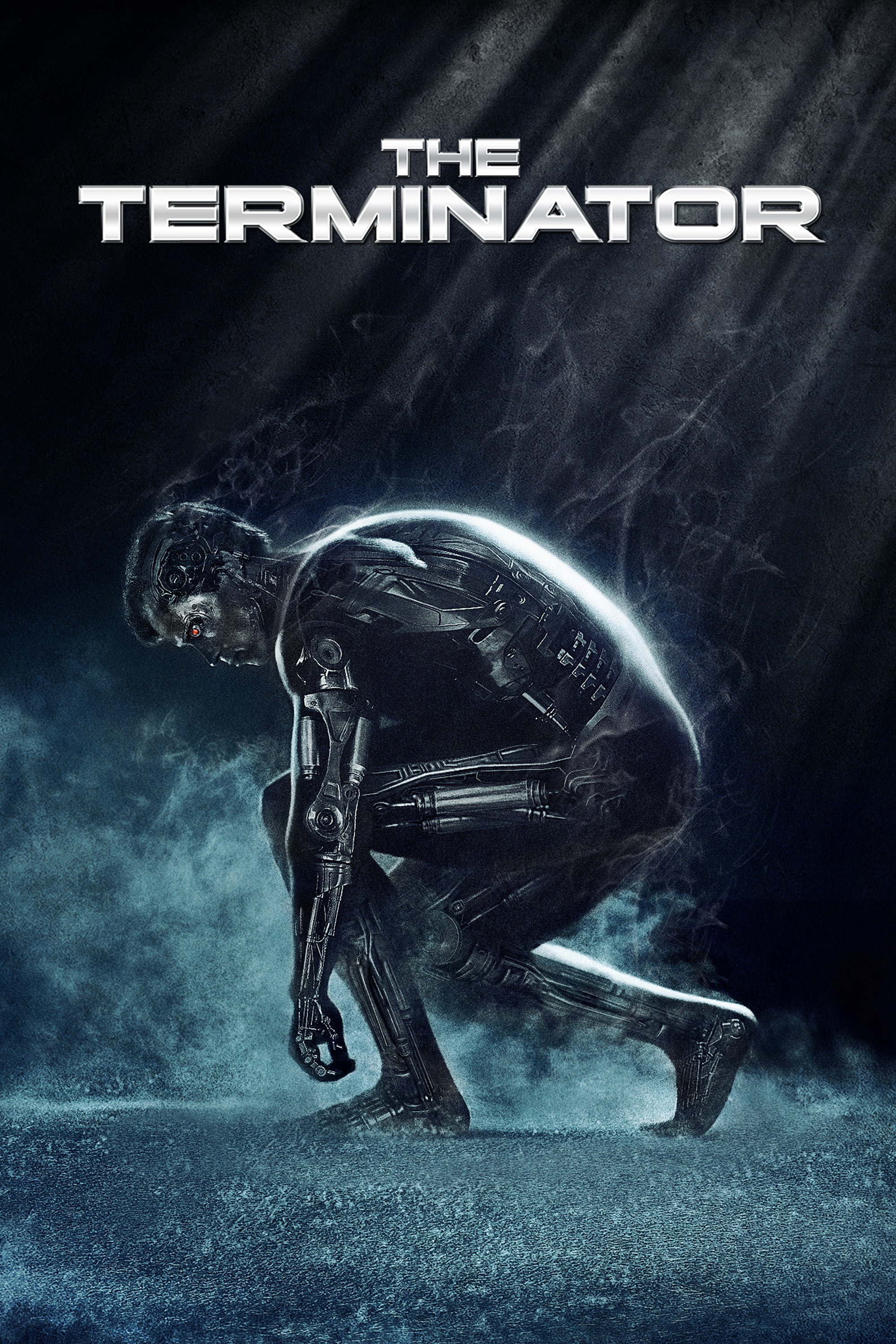 The Terminator Poster