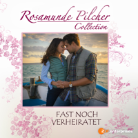 Rosamunde Pilcher: Fast noch verheiratet - Rosamunde Pilcher: Fast noch verheiratet artwork