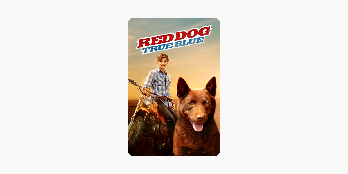 is red dog a true story