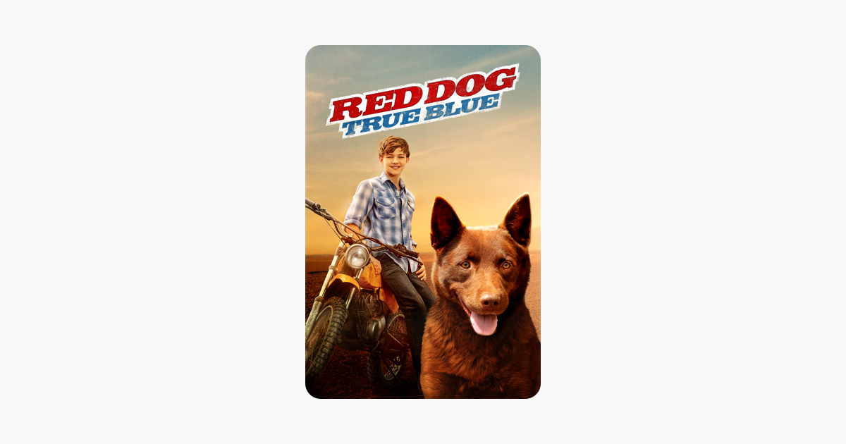 ‎Red Dog True Blue on iTunes