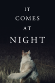 It Comes At Night cover