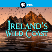 Ireland's Wild Coast - Ireland’s Wild Coast artwork