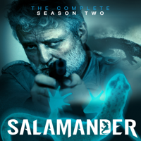 Salamander - Salamander, Season 2 artwork