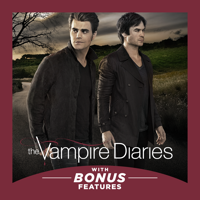 The Vampire Diaries - The Vampire Diaries, Season 8 artwork