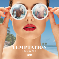 Temptation Island - Single Again artwork