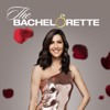 The Bachelorette - The Bachelorette, Season 14  artwork