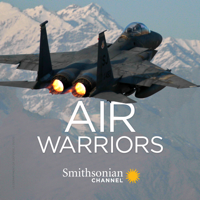 Air Warriors - F-15 artwork