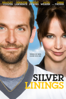 David O. Russell - Silver Linings artwork