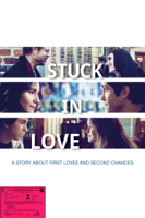 Josh Boone - Stuck in Love artwork