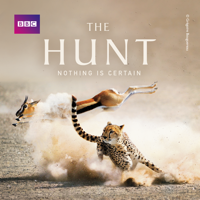 The Hunt - The Hunt artwork