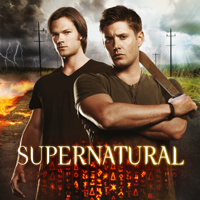 Supernatural - Supernatural, Season 8 artwork