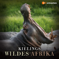 Kielings wildes Afrika - Kielings wildes Afrika artwork
